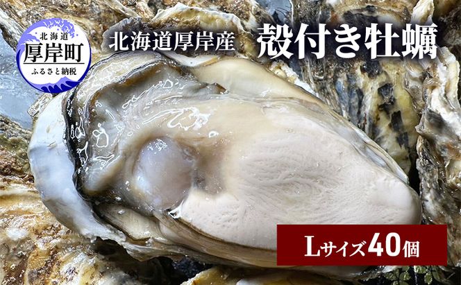 北海道 厚岸産 殻付き 牡蠣 Lサイズ 40個 魚貝類 生牡蠣 海鮮 海の幸 生食用牡蠣 生食用 生食用殻付き牡蠣 濃厚 甘み マルえもん オイスター 
