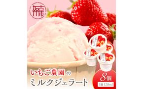 いちごミルクジェラート《 ジェラート アイス カップ いちご ミルク スイーツ 》【2501H09703】