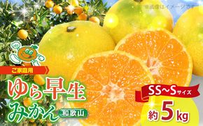 ZJ1010n_【2026年先行予約】【ご家庭用 極早生】和歌山 有田ゆら早生みかん 約5kg (SS、Sサイズ)【湯浅町】