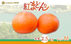 【先行予約】【贈答用】紅まどんな（2.5kg/Mサイズ）※離島への配送不可（2026年12月上旬より順次発送予定） IKTBD003