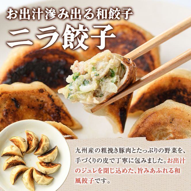 ＼テレビで紹介されました！／ニラ餃子(12個入×4袋・計48個) 餃子 生餃子 ギョウザ ぎょうざ ギョーザ セット 詰め合わせ おかず お惣菜 冷凍 和風 水餃子 にら ニラ 手作り【餃子のはま田】akn096-01