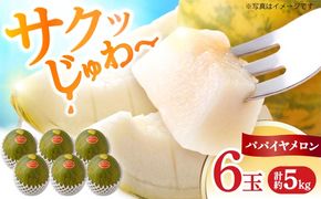 パパイヤメロン 6玉 （ 約 5kg ） / メロン めろん パパイヤメロン 果物 フルーツ / 南島原市/ 小田メロン園[SGX001]