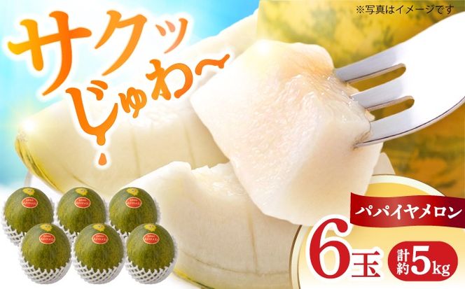パパイヤメロン 6玉 （ 約 5kg ） / メロン めろん パパイヤメロン 果物 フルーツ / 南島原市/ 小田メロン園[SGX001]