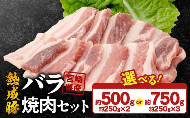 宮崎県産熟成豚 バラ焼肉セット N0105-YA2282-sku