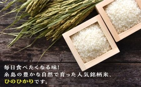 【全6回定期便】糸島産 ひのひかり 5kg × 6回 糸島市 / 三島商店 [AIM009] 米 白米