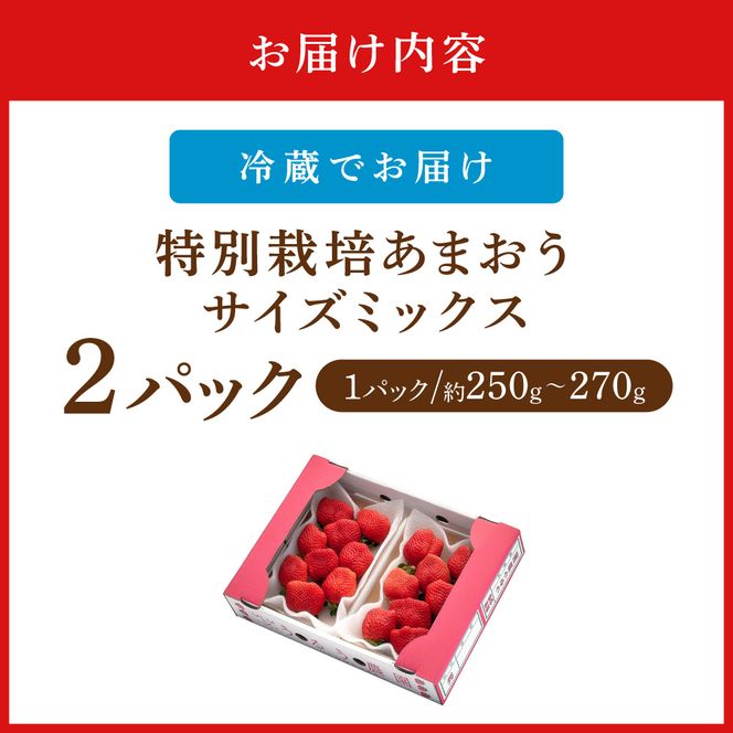 【先行予約受付中】【2026年12月以降順次発送】特別栽培あまおう2パック(サイズミックス)【うるう農園】_AS1967-00