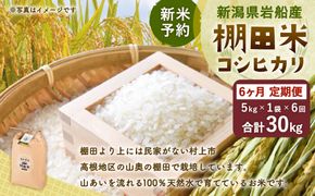 【新米受付・令和8年産米】【定期便：6ヶ月連続でお届け】新潟県村上市岩船産 棚田米コシヒカリ 5kg×6ヶ月　1011004N