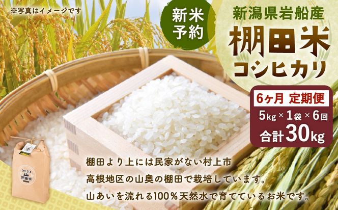 【新米受付・令和8年産米】【定期便：6ヶ月連続でお届け】新潟県村上市岩船産 棚田米コシヒカリ 5kg×6ヶ月　1011004N