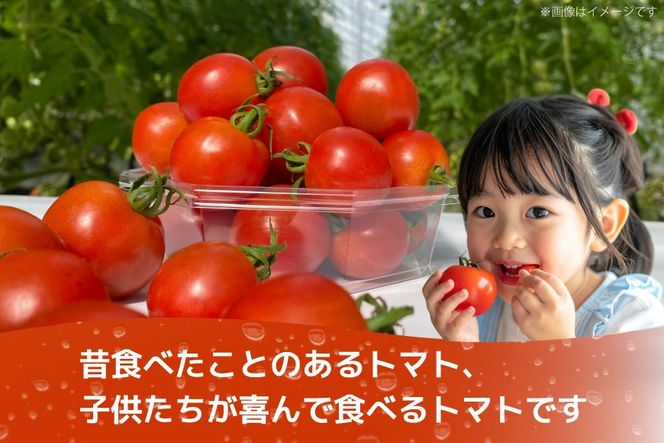 訳あり 野菜 トマト 冷凍志宝トマト（シンディスイート）中玉 1kg [モアショップヤマモト 石川県 宝達志水町 38601219] とまと 中玉 不揃い 規格外 1キロ わけあり 訳アリ 家庭用 やさい tomato