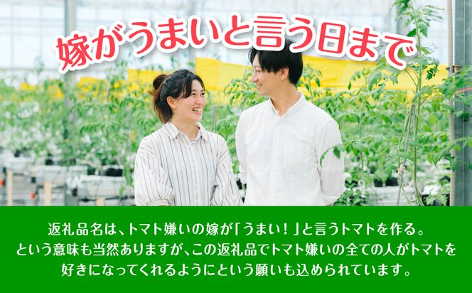 【先行予約】 嫁がうまいと言う日まで 800g トマト ミニトマト とまと 野菜 やさい サラダ 新鮮 リコピン 特産品 熊本県 八代市 【2026年12月上旬より順次発送】