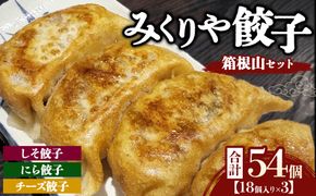 みくりや餃子 箱根山セット 大（18個入り×3） | 食べ比べ 詰め合わせ バラエティー 冷凍 ギョウザ 惣菜 おかず お弁当 しそ餃子 にら餃子 チーズ餃子