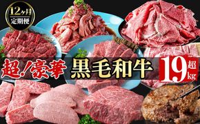 【定期便全12回】超豪華！黒毛和牛堪能贅沢定期便！(総重量19kg超) t0362-001
