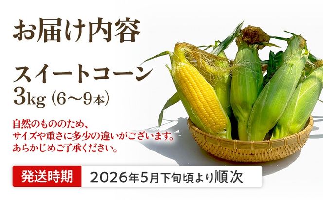 とうもろこし スイートコーン 3kg（6~9本）野菜 コーン スーパースイートコーン 採れたて 糖度20度 【2026年5月下旬頃より順次発送予定】
