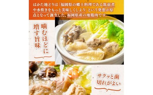 はかた地どり 水炊き 3～4人前 セット [MEAT PLUS 福岡県 宇美町 um40azp010032] 鍋 博多 鶏鍋 水炊 地鶏 博多地鶏 はかた地鶏 博多地どり