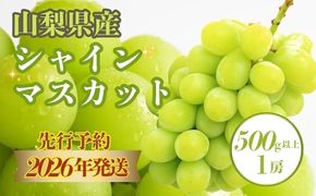 【2026年先行予約！】シャインマスカット500g以上（1房）　FB036