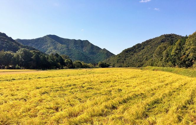 醸し人九平次 「別誂」（1,800ml）～西脇市産山田錦使用日本酒（純米大吟醸）～