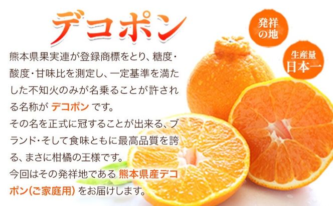訳あり デコポン 約5kg前後(約12-24玉前後)《2026年2月上旬-4月末頃出荷》 デコポン みかん 不知火 ご家庭用 訳ありデコポン 訳アリ 熊本県産 熊本県 長洲町 糖度13度以上---ng_deko_af24_r7_15000_5kg---