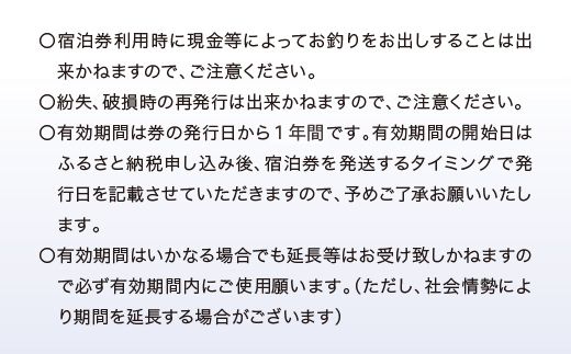 大洗町 共通 宿泊 クーポン 3,000円分 関東 茨城