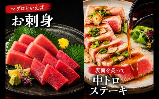 【2-134】国産本まぐろ中トロ赤身冷凍短冊セット　600ｇ以上