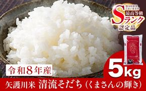 令和8年産 矢護川清流そだち(くまさんの輝き) 5kg 大津町矢護川おいしい米作り研究会 お米 熊本県 大津町《11月上旬-1月末頃出荷》---oz_kzk_4_5kg---