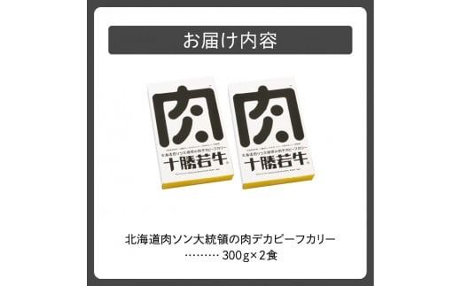 北海道肉ソン大統領の肉デカビーフカリー_S003-0011