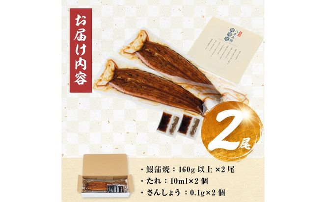 【数量限定】国産 八本木樽鰻の蒲焼 160g以上×2尾＜計320g以上＞ a2-115