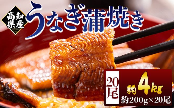 高知県産蒲焼きうなぎ ２００ｇ ２０尾 計４０００ｇ fb-0188