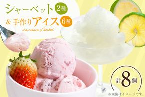 アイス 人気の手作りアイス6種 & シャーベット 2種 計8個 [マエダ製菓 宮崎県 日向市 452060804] シャーベット アイスクリーム バニラ チョコチップ チョコマーブル ラムレーズン ストロベリー 抹茶 へべす 日向夏