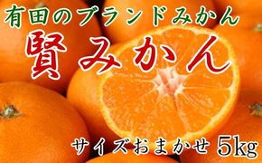  [秀品]有田のブランドみかん「賢みかん」5kg(サイズおまかせ・赤秀品) 【2025年11月中旬頃より順次発送】 BZ010