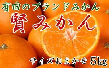 [秀品]有田のブランドみかん「賢みかん」5kg(サイズおまかせ)   BZ010