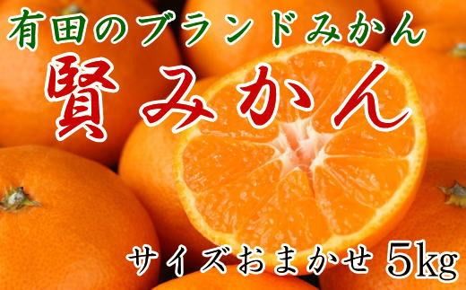［秀品］有田のブランドみかん「賢みかん」5kg（サイズおまかせ）［2026年11月中旬頃より順次発送］ BZ010