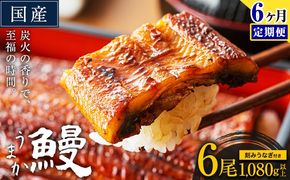 【6ヶ月定期】うなぎ 国産 鰻 特上サイズ 6尾 合計1080g (刻みうなぎ30g×3袋含む) うまか鰻 《申込み翌月から発送》 九州産 たれ さんしょう 付き ウナギ 鰻 unagi 蒲焼 うなぎの蒲焼 惣菜 ひつまぶし きざみうなぎ 特大サイズ 訳あり 定期便 蒲焼き ふるさとのうぜい---mf_fsktei_24_198500_mo6num1_6p---