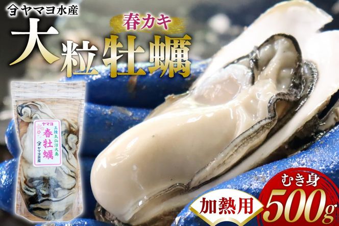 【期間限定発送】 ヤマヨ水産の牡蠣 加熱用 500g 《5月前半〜出荷》 [気仙沼市物産振興協会 宮城県 気仙沼市 20565983] 魚介類 海鮮 牡蠣 春 かき 春牡蠣 春かき 期間限定 冷蔵 加熱