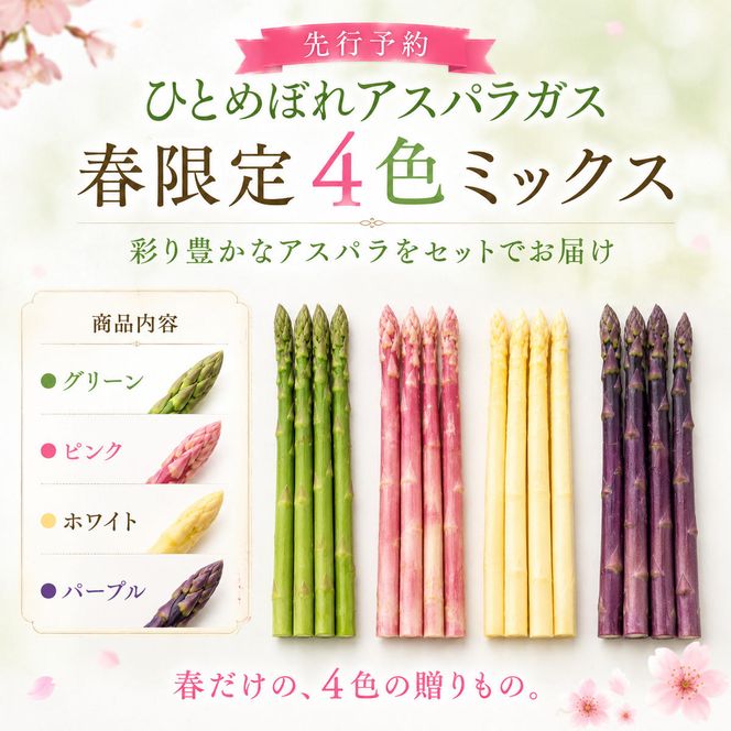 【先行予約】春限定 ひとめぼれアスパラガス 1kg 4色 食べ比べ グリーン パープル ピンク ホワイト 産地直送 農家直送 野菜 新鮮 旬 アスパラ 春野菜 サラダ カラフル バーベキュー BBQ おすそ分け ファミリー 大容量 ギフト 送料無料