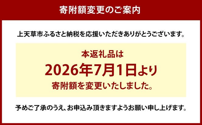 【先行受付】特別栽培河内晩柑 9kg サイズミックス 特別栽培 河内晩柑 柑橘 晩柑 ばんかん バンカン フルーツ 果物 果実 九州産 熊本県産【2027年4月上旬～7月上旬発送予定】