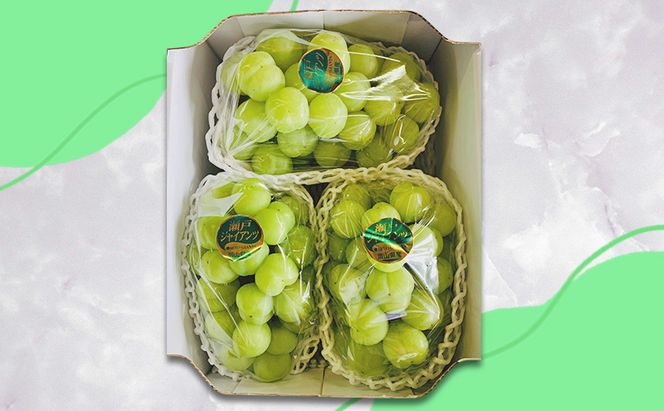 ぶどう 【2026年 先行予約】 瀬戸ジャイアンツ 3房(合計2kg以上) ブドウ 葡萄 岡山県産 国産 フルーツ 果物 ギフト 河本農園