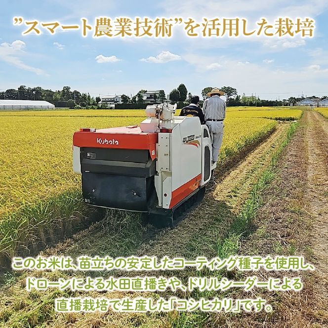 スマート農業技術を活用した 令和８年産 コシヒカリ（白米）　５キロ【埼玉県 春日部市 ふるさと納税 国産 精米 主食 家庭用 お取り寄せ 贈答用 ごはん】（BN047）