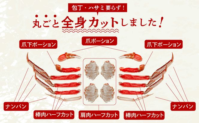 カット済み生ずわいがに Lサイズ×2P（内容量1.4kg/総重量2kg） かに カニ ズワイガニ ずわいがに ズワイ ずわい 生ズワイガニ 生ずわいがに 蟹 カット済 ポーション Lサイズ カニしゃぶ 雑炊 冷凍 グルメ 北海道 函館市 送料無料_HD065-009