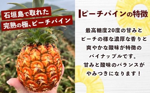 【マツコの知らない世界で絶賛！】《2026年4月～7月順次発送》【先行予約】パイナップル好きにおすすめ！満足のパイナップル3品種定期便【 沖縄 石垣 ピーチ ホワイトココ ジュワリー パイン パイナップル 完熟 セット フルーツ デザート 食べ比べ 定期便 TV テレビ 紹介 マツコ 】 TF-36_R8
