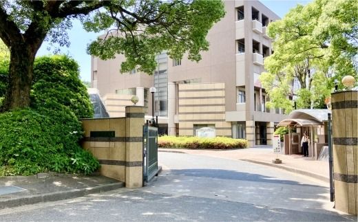 【 返礼品なし 】 「 筑紫女学園大学 」 支援寄附金 （ 50,000円分 ） 寄附のみ 応援寄附金 社会貢献 支援活動 教育 支援 寄附 応援