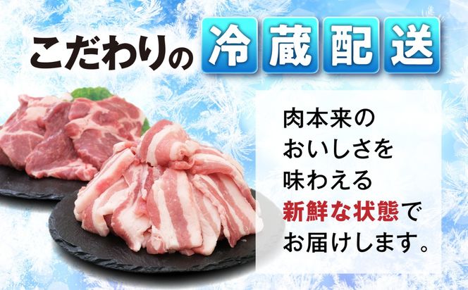 JA糸島 糸島豚 焼肉 セット 肩ロース バラ 糸島市 / JA糸島産直市場 伊都菜彩 [AED004] 豚肉 詰め合わせ セット ブタ ぶた ロース 豚バラ 豚ロース