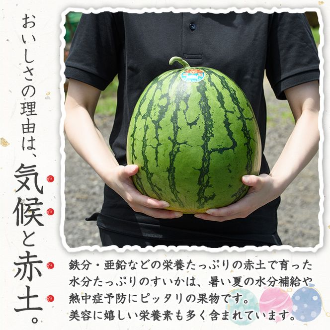 ＜先行予約受付中！2026年7月上旬以降順次発送予定＞幻のブランド「きさきのスイカ」(1玉・8kg以上)  スイカ すいか 西瓜 果物 フルーツ 野菜 旬 夏 おやつ 水分補給 熱中症対策 木佐木野【竹ん子山】akn097-04