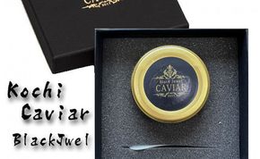 KYF004　熟成キャビア（30g）ブラックジュエル化粧箱入り シェルスプーン付 チョウザメ 卵 魚卵 高知県産 【koyofr】卵一粒に旨みが凝縮【geiseiymt】〈高知市共通返礼品〉