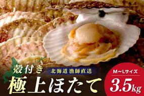 【予約：2026年3月下旬から順次発送】北海道オホーツク産 漁師直送 殻付きプレミアムホタテ 3.5kg ( 魚介 海鮮 貝 ホタテ ほたて 帆立 生食 炙り焼き バター焼き )【197-0001-2026】