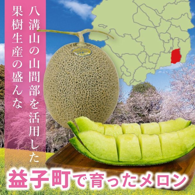 【先行予約】【数量限定】タカミメロン 2個セット｜青肉・高糖度｜みずみずしい上品な甘さ｜産地直送｜栃木県益子町 (AA021)