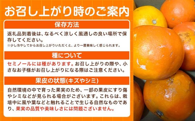 オレンジ 訳あり ご家庭用 セミノールオレンジ 約5kg 株式会社魚鶴商店《5月上旬-5月下旬頃出荷予定》 和歌山県 日高川町 柑橘 フルーツ---wshg_uot232_5j5g_26_12000_5kg---