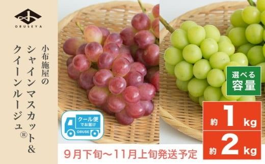 シャインマスカット&クイーンルージュ® 約1kg 約2kg 選べる内容量 [小布施屋] 果物 フルーツ ぶどう 葡萄 令和7年産[2025年9月下旬〜11月上旬発送]