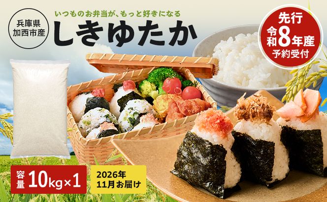 【令和8年産 先行受付】しきゆたか 白米 10kg《2026年11月発送》