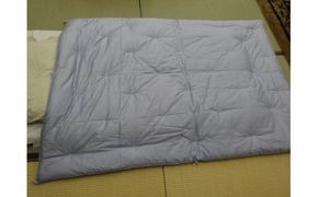 エジプト綿入り肌掛ふとん　（ブルー）【CW75W】