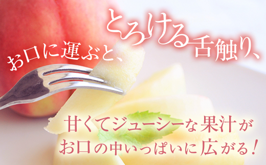 【農園直送】朝採れの和歌山の桃　約4kg・秀品【2026年度発送分】｜ モモ 国産 フルーツ お取り寄せ ギフト